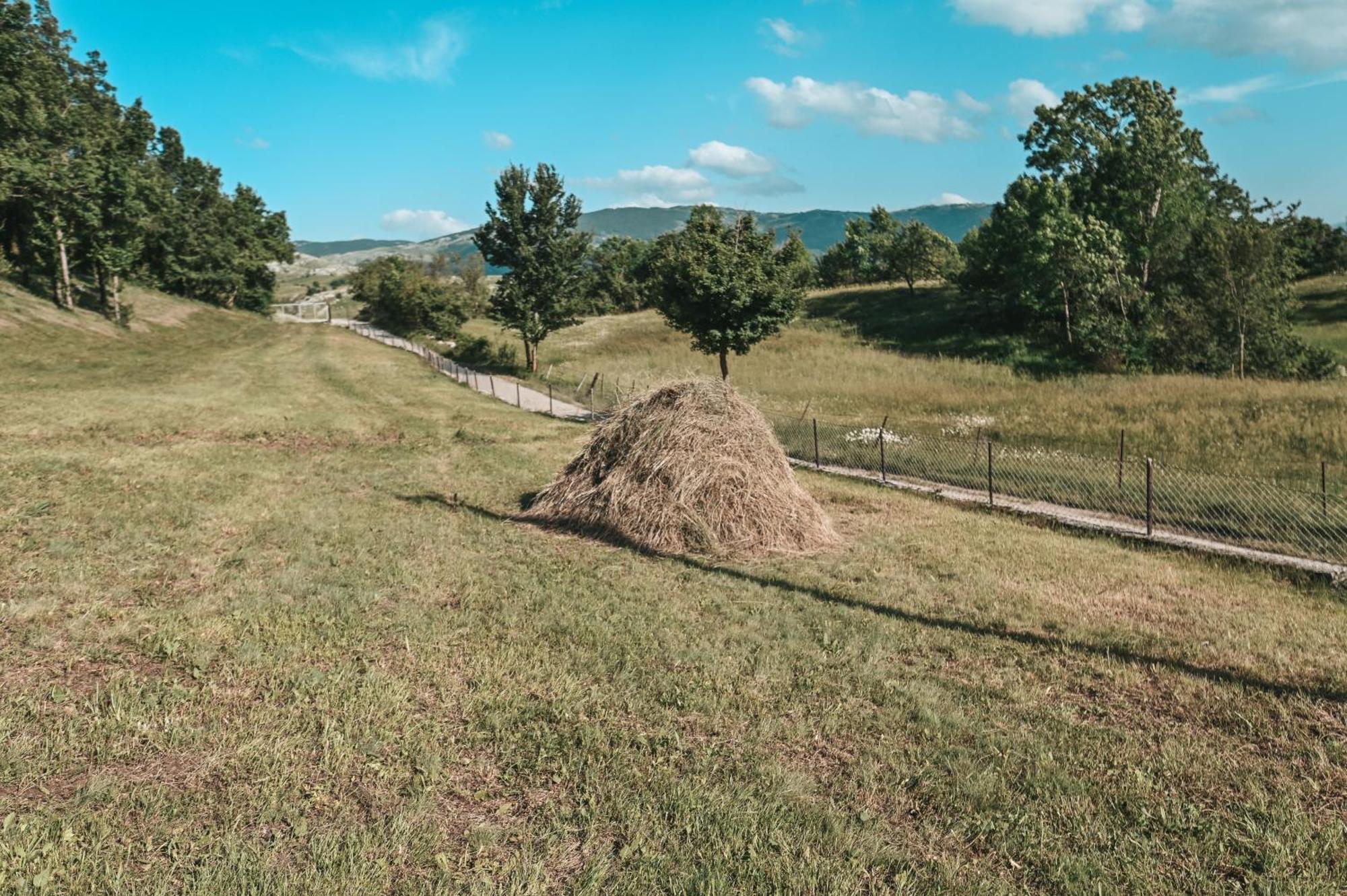 Domacinstvo Braca Rebic Villa Gacko Exterior photo